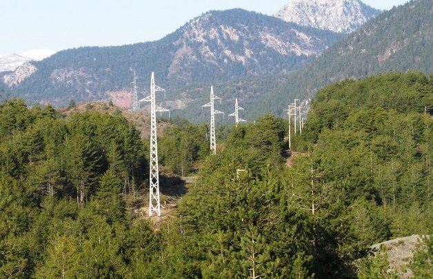 Рязане на клони и дървета по трасето на далекопровода в Босилеградско