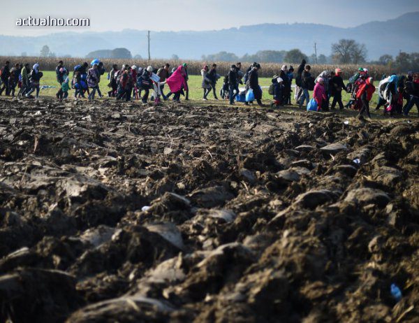 Пътят на мигрантите от България към Западна Европа се измества от Сърбия към Румъния