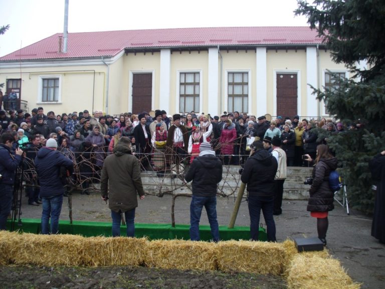 В Тараклия проведоха стар български обичай – зарязване на лозето