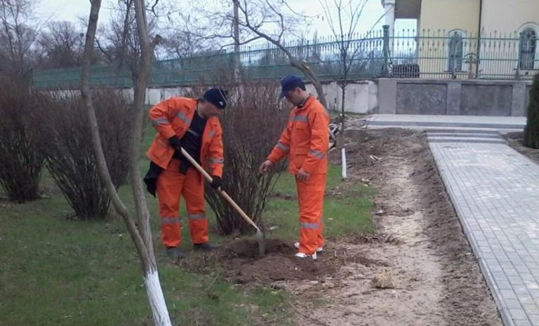 Озеленяване на Болград