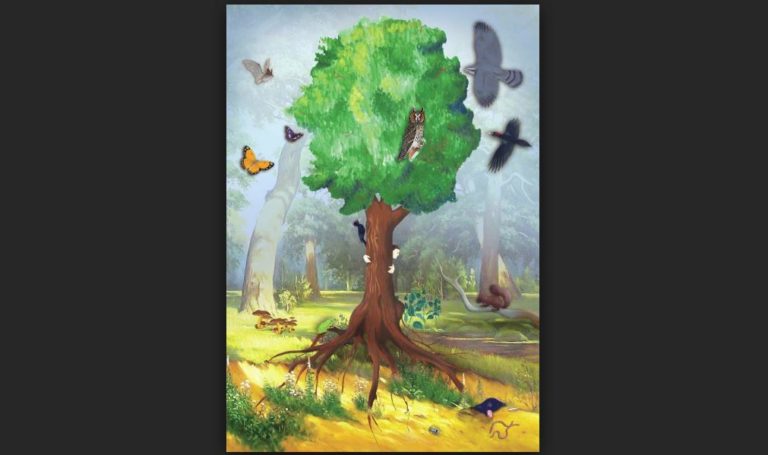 22 май – Международен ден на биоразнообразието