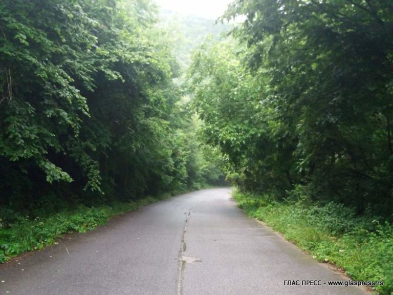 Една измислена история с възможен развой