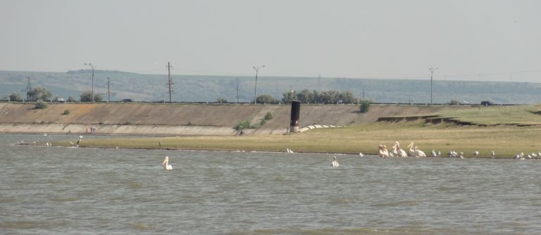 В Тараклия въведена забрана на къпането във всички водни обекти