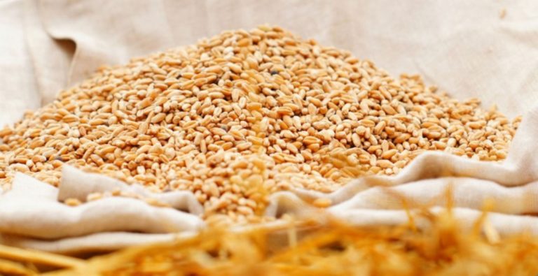 Украйна изнесе за ЕС аграрни продукти на 3.6 млрд долара