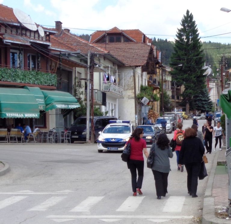 Избори за НС на българското национално малцинство