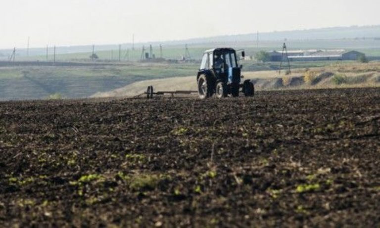Производителите на зеленчуци ще получат инвестиции в рамките на проекта „Livada Moldovei“