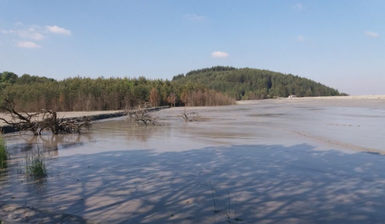 Ekološka katastrofa Korbevačke reke