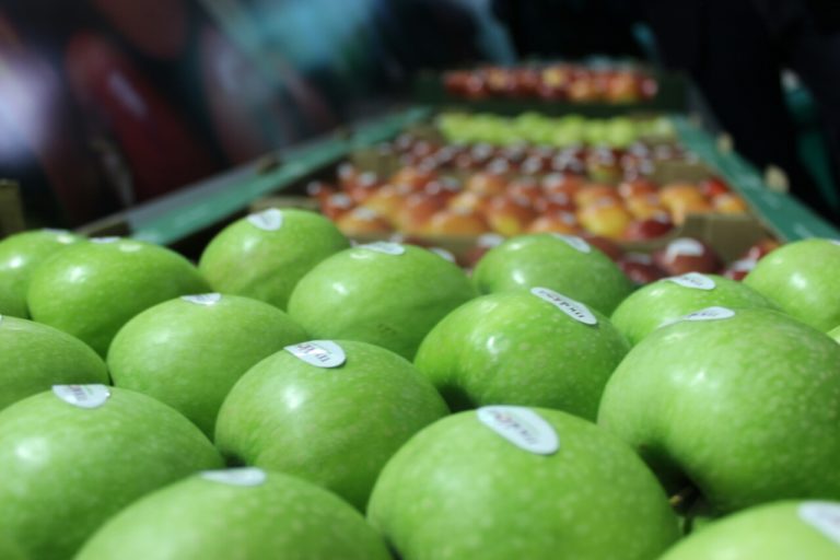 САЩ ще предоставят безвъзмездни пари на молдовските производители на плодове