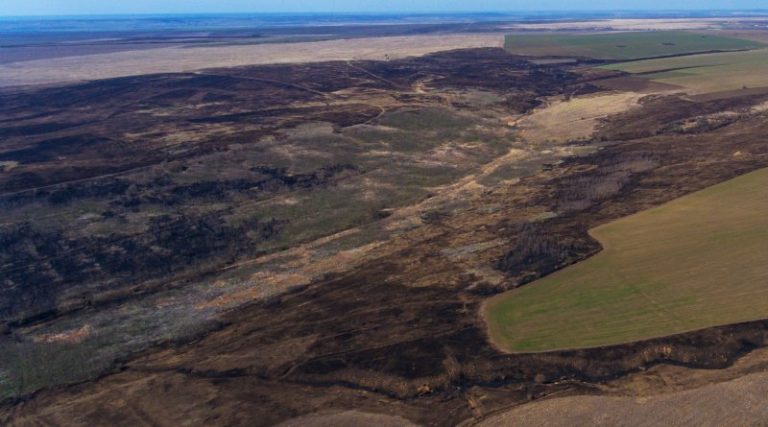 Резерватни територии в Тарутинската степ пострадаха от пожар