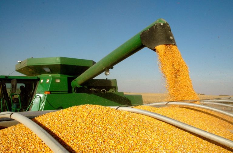 Износът на украинската царевица се е увеличил с 63%
