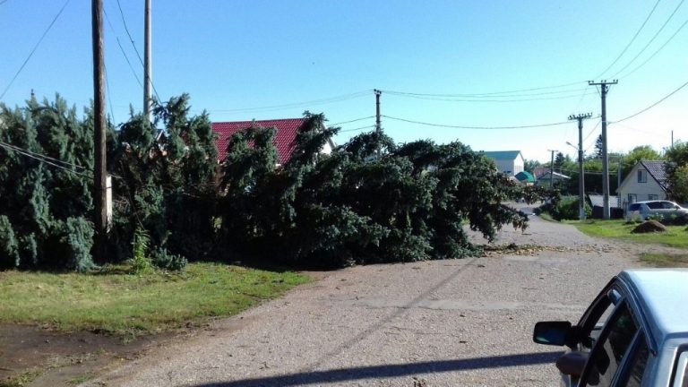 Буря обхвана южната част на Молдова