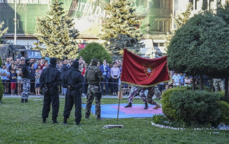 Участниците във военното учение „Решителен удар“ бяха на посещение в Битоля