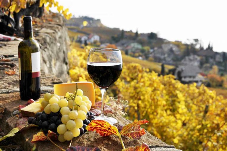 Молдовските производители на вино се оплакват, че износът е намалял