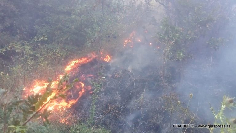 ПОЖАРИ НА ТЕРИТОРИЯТА НА ОБЩИНА БОСИЛЕГРАД (ВИДЕО ГЛАСПРЕСС)