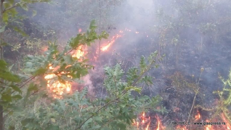 ПОЖАР В РАЙОНА НА СЕЛО ГОРНО ТЛЪМИНО (ВИДЕО ГЛАСПРЕСС)