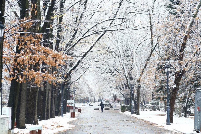 НИМХ обяви пълната прогноза за времето през януари