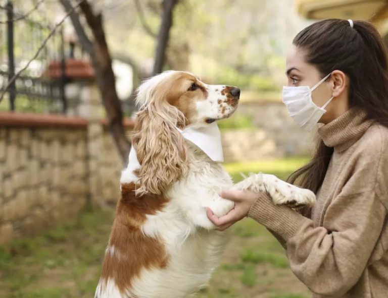 Учени: Слънцето помага срещу COVID-19