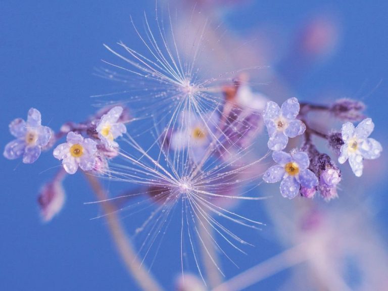През май времето ще е динамично