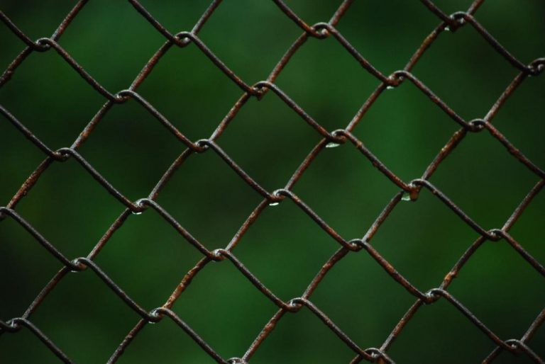 Сърбия отговори за оградата по границата с България