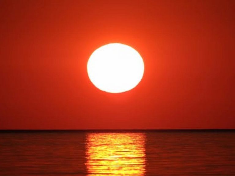 Вероятно 2020 г. е била най-топлата досега