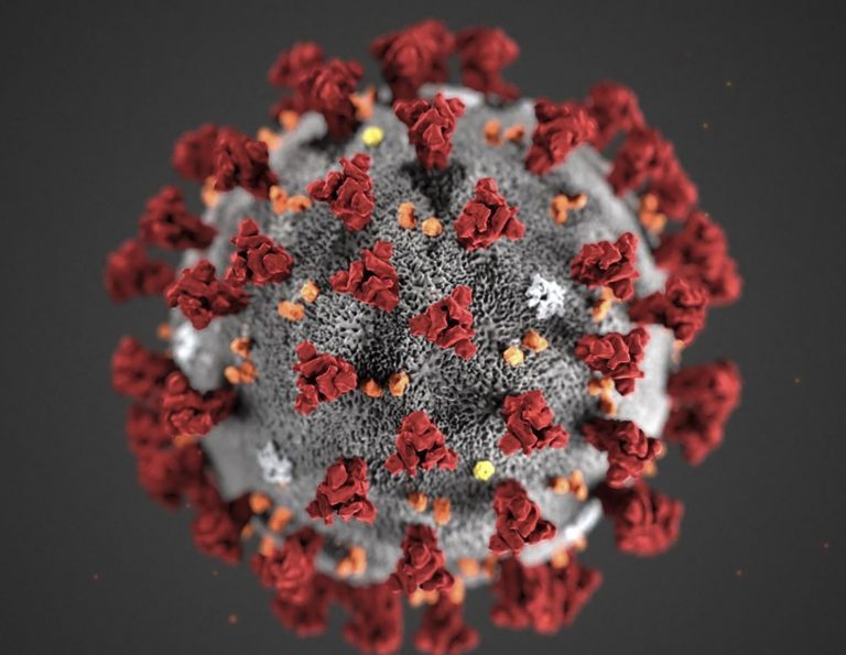 Новият по-заразен щам на коронавируса не присъства в Северна Македония