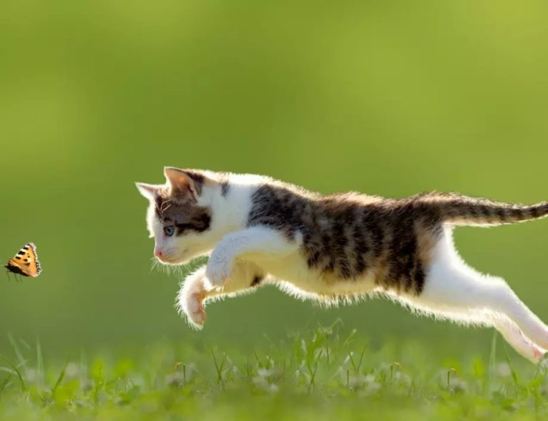 Седмична прогноза за времето за 1-7 март