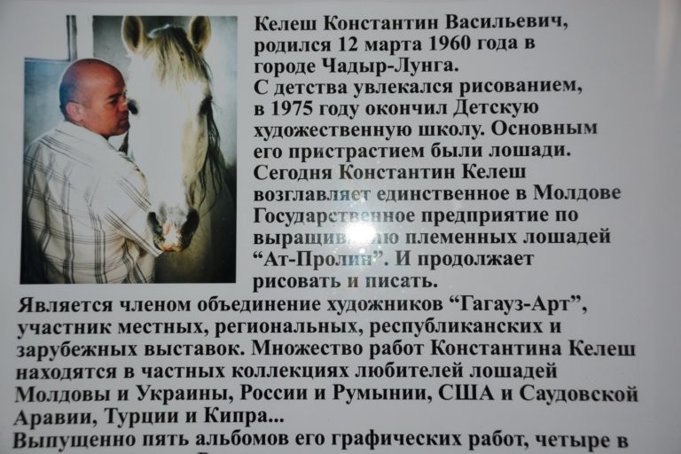 Картини на коне от различни породи и цветове представени в бесарабския град Тараклия