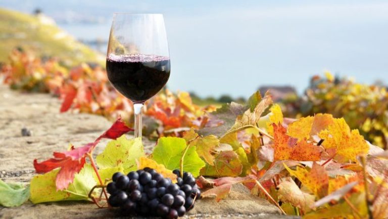 Бесарабските вина в най-скоро време могат да бъдат регистрирани и признати в ЕС