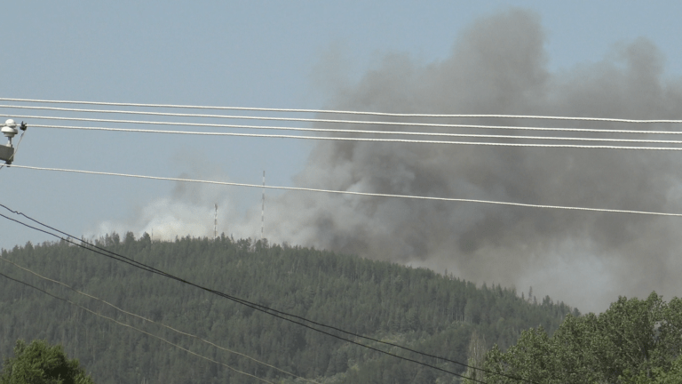 Пожари в Босилеградско! Гори „Рамни дел“ (Видео)
