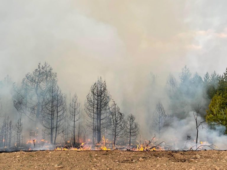 Пожарите в Северна Македония продължават да бушуват, а България изпрати нова помощ за тяхното гасене