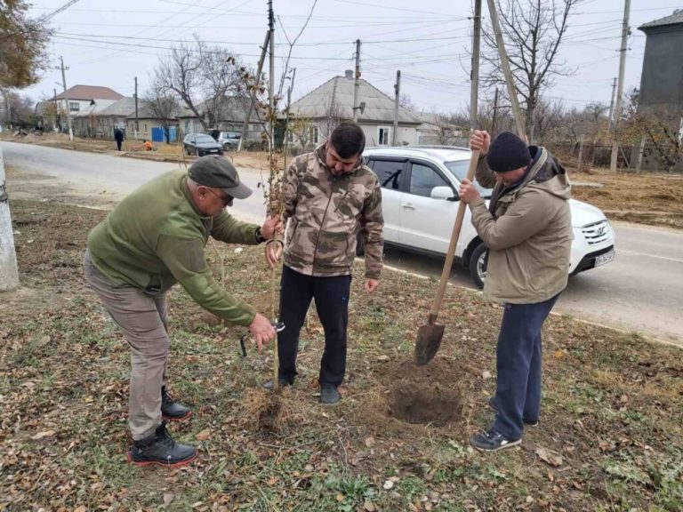 3 хектара гори са засадени в Болградски район