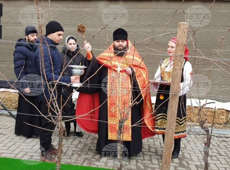 С молитва, хоро и чаша вино зарязаха лозята в Тараклия