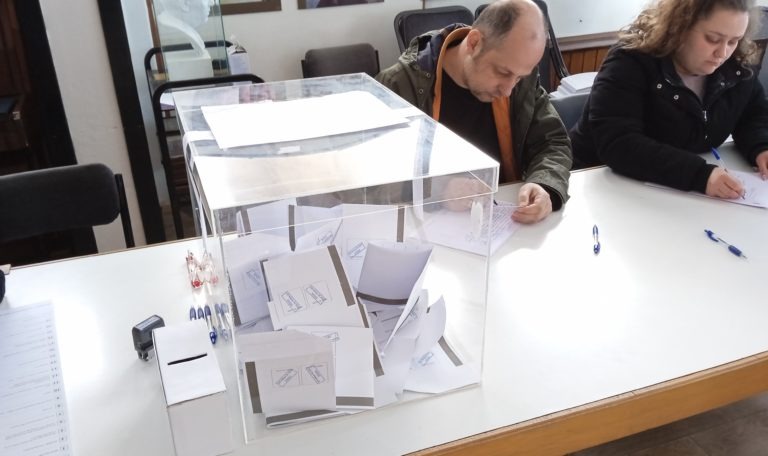 Изборите в Босилеград протичат нормално (Видео)
