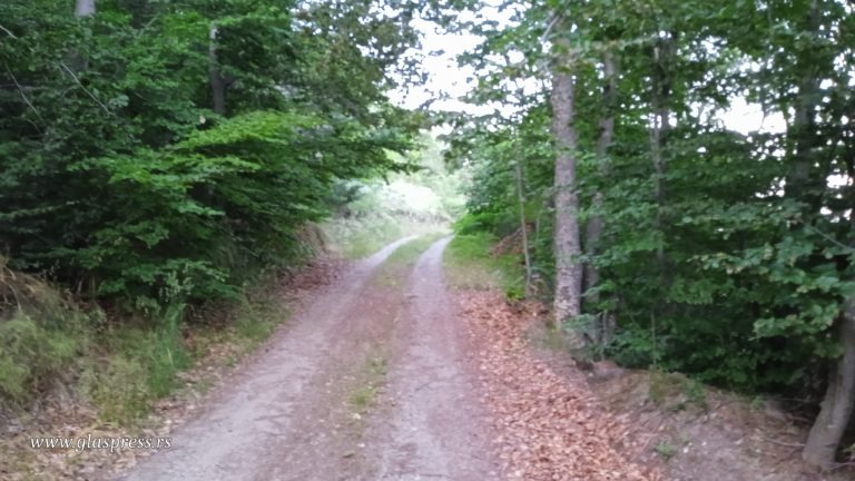 Десето международно изкачване на Църноок