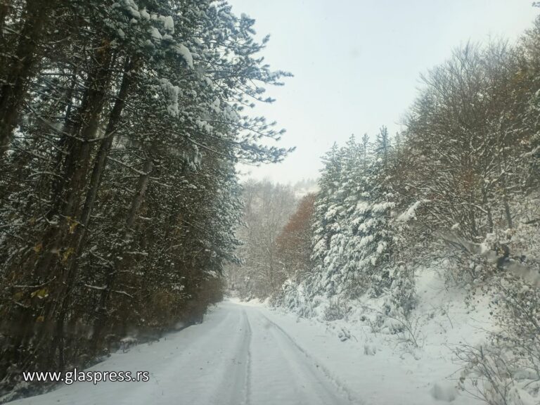 Зимни условия в Босилеград: Снежна покривка и проблеми с eлектрозахранването