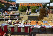 Босилеград за поредна година ще се представи на фестивала Балканска черга в село Шишковци