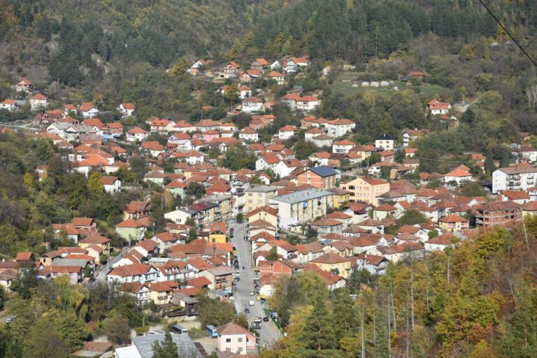 Босилеград с нов екопроект: Засаждат 500 липи с подкрепата на PRO