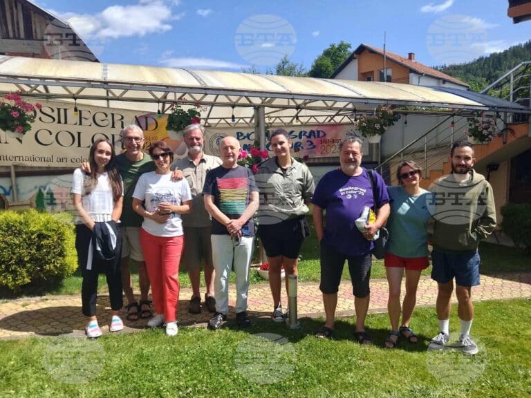 Международният пленер „Босилеград в цвят 2025“ върви към своя край