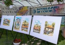 Участниците в пленера „Босилеград в цветове“ споделиха своите впечатления