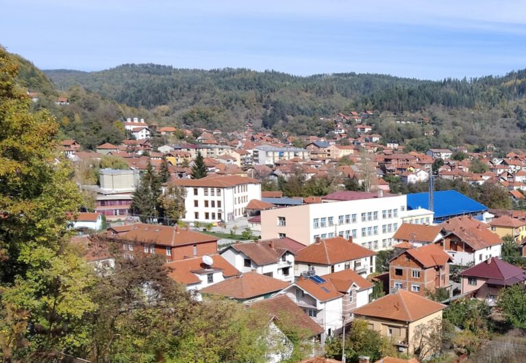 Ученици от Босилеград с добро представяне в конкурсите на „Културна алтернатива Цариброд“