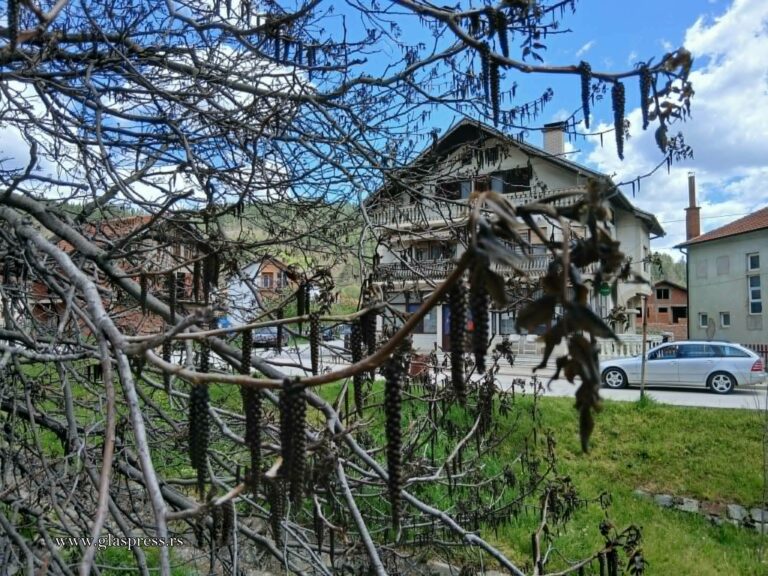 В Босилеградско слана и мраз унищожиха почти цялата реколта