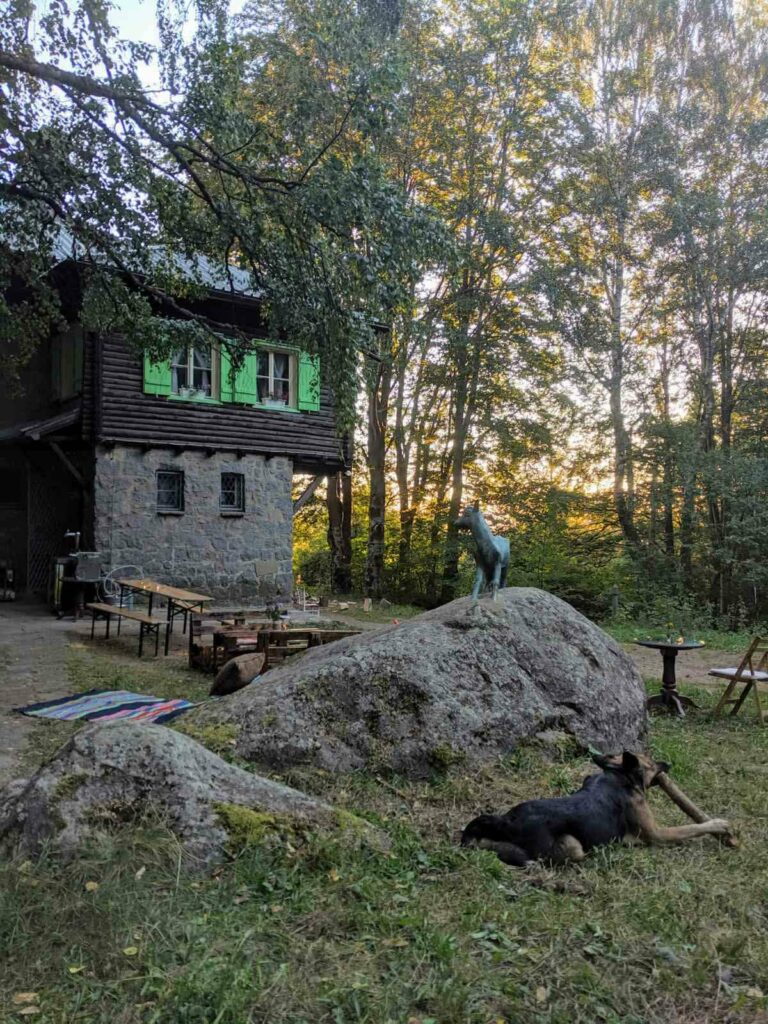 Ученици от Босилеград ще участват в летен лагер в София